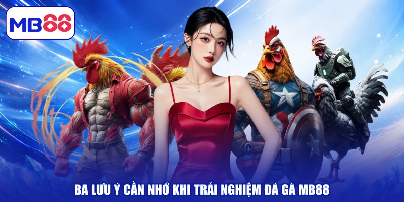 Ba lưu ý cần nhớ khi trải nghiệm đá gà MB88