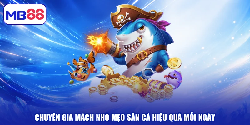 Chuyên gia mách nhỏ mẹo săn cá hiệu quả mỗi ngày