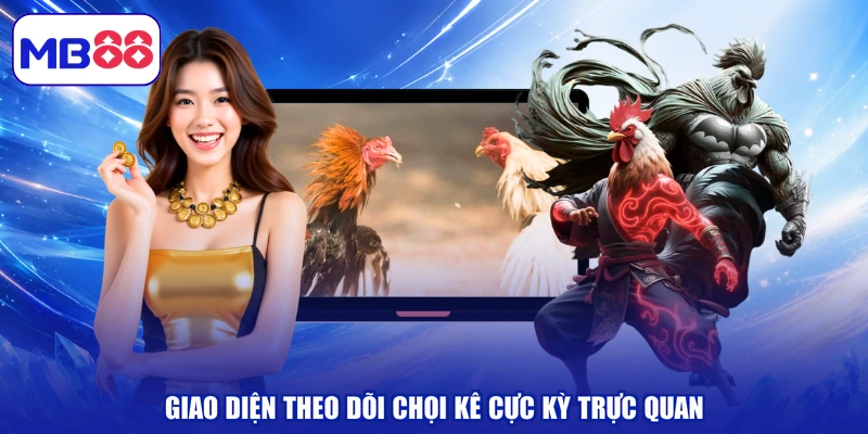 Giao diện theo dõi chọi kê cực kỳ trực quan