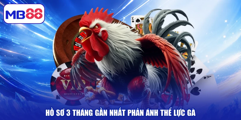Đá Gà Cựa Sắt MB88 Kịch Chiến, Chốt Ngay Kèo Thơm