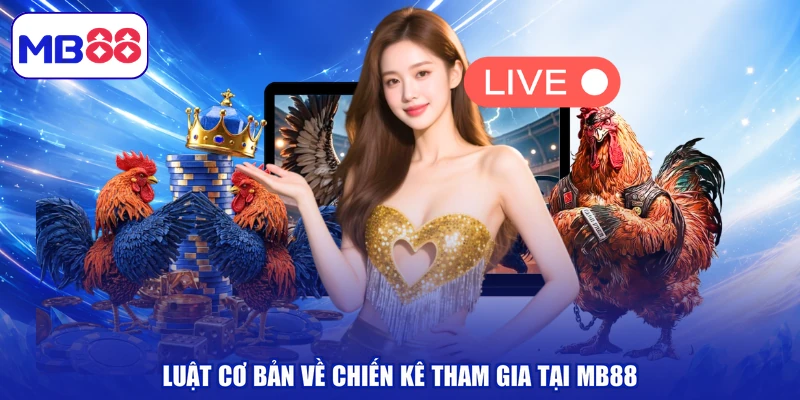 Luật cơ bản về chiến kê tham gia tại MB88