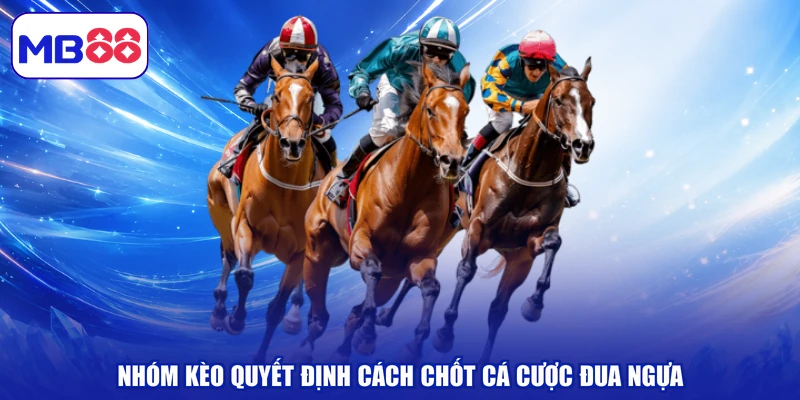 Nhóm kèo quyết định cách chốt cá cược đua ngựa
