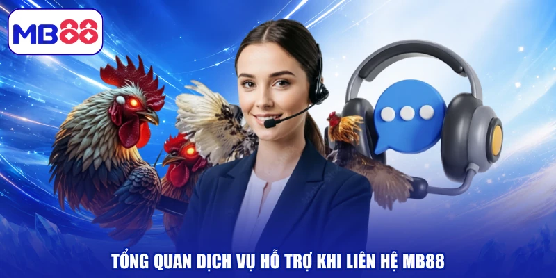 Tổng quan dịch vụ hỗ trợ khi liên hệ MB88