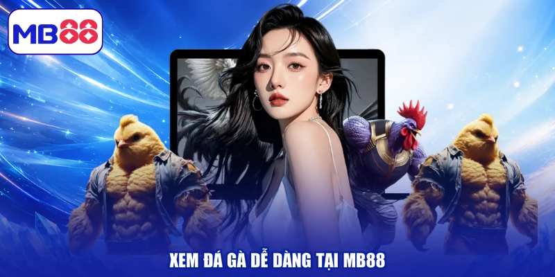 Xem đá gà dễ dàng tại MB88
